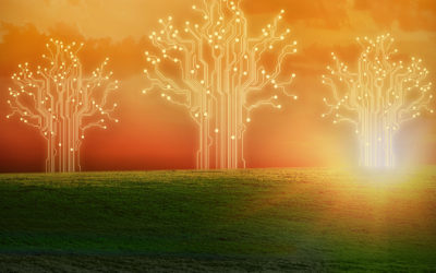 Paul Krugman na Airbnb; Jeffrey Sachs na Amazon