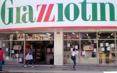 GRAZZIOTIN: lucro cresceu 26% no 1º semestre de 2016