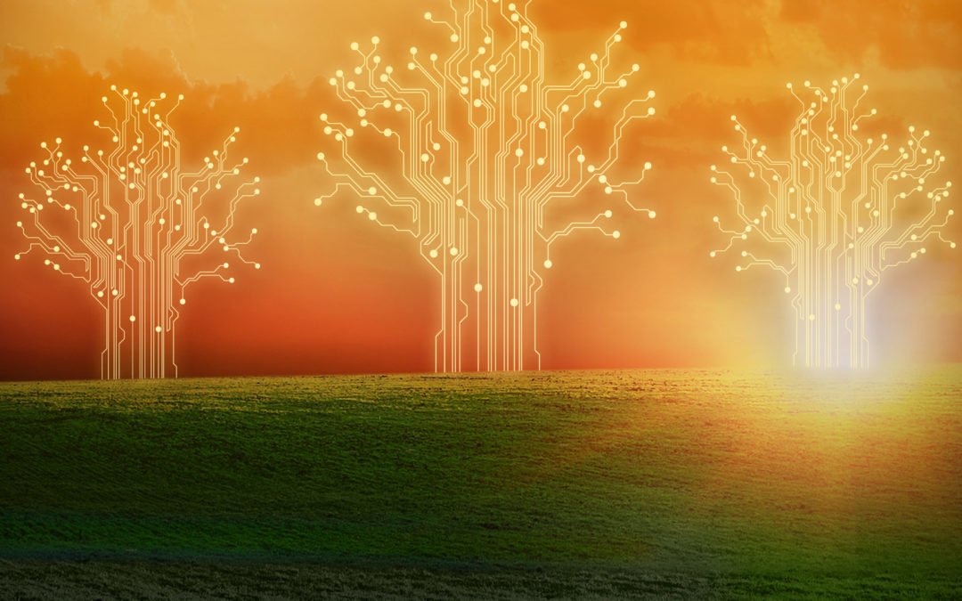 Paul Krugman na Airbnb; Jeffrey Sachs na Amazon